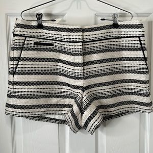 Ann Taylor Loft Women’s Chino Style Short. Size 12. NWT. Black and Ivory.